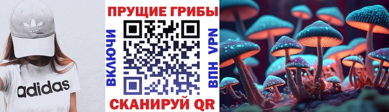 Галлюциногенные грибы Psilocybine cubensis Симферополь