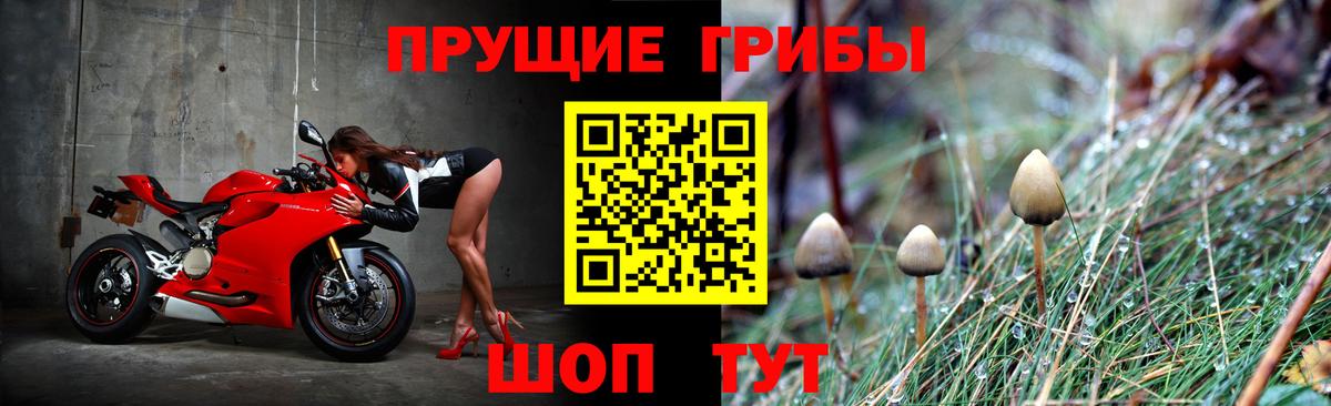 Галлюциногенные грибы GOLDEN TEACHER  Вход с VPN  Симферополь 